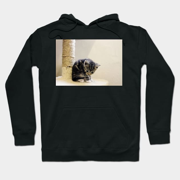 Little Lady Lola Hoodie by Ladymoose